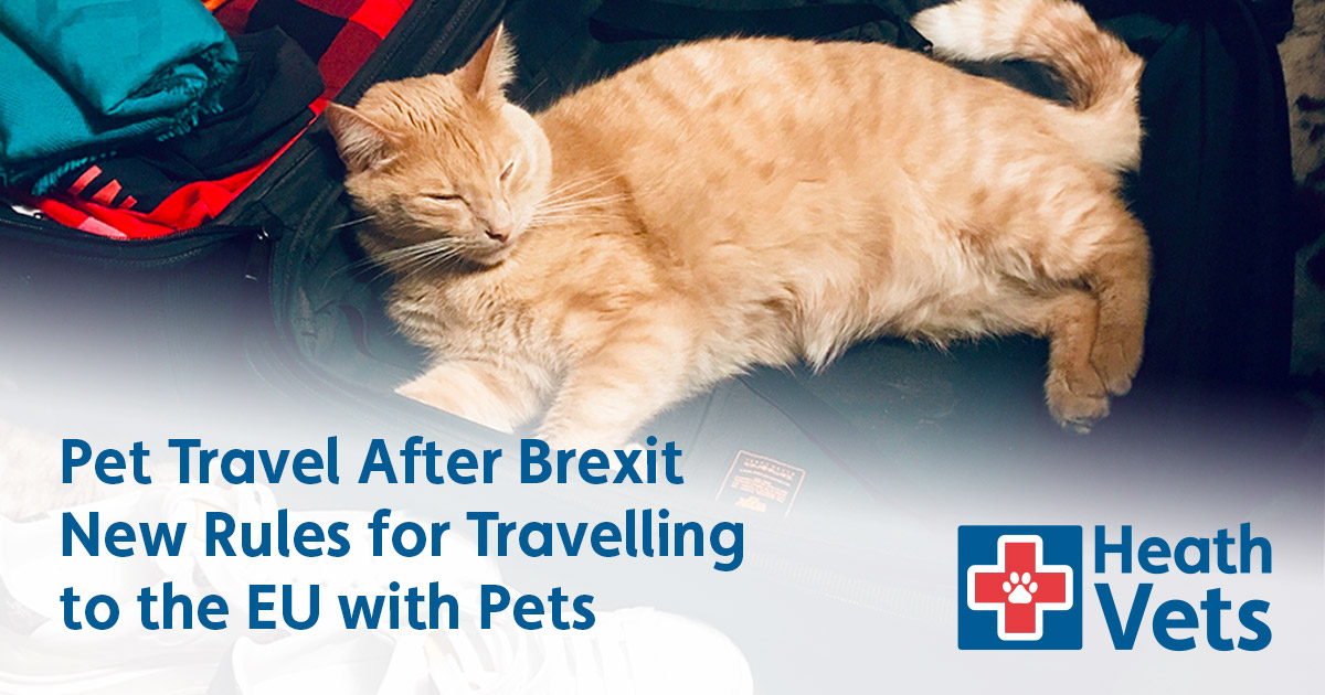 Pet Travel After Brexit | New Rules for Travelling to the EU with Pets