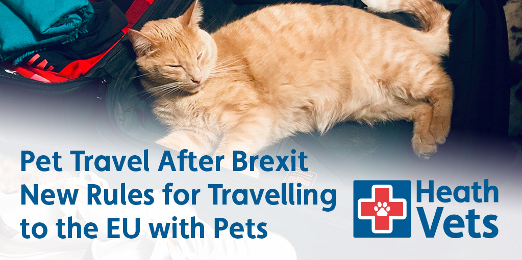 Defra pet sales travel brexit