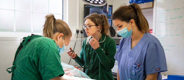 heath-vets-vet-in-burgess-hill-vet-services-veterinary-facilities-carousel-1