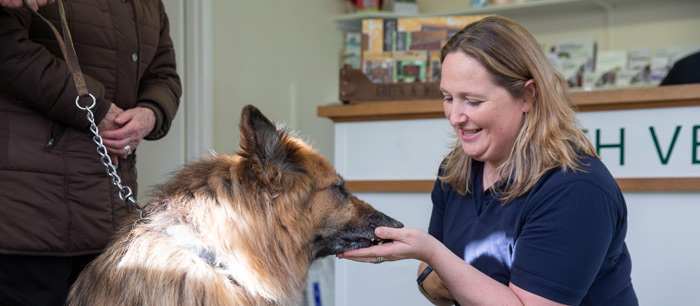 heath-vets-vet-in-burgess-hill-vet-services-veterinary-facilities-carousel-4