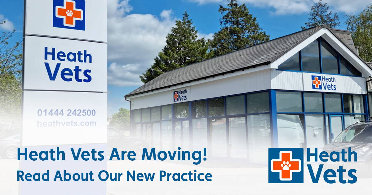 Heath Vets Are Moving Read About Our New Practice