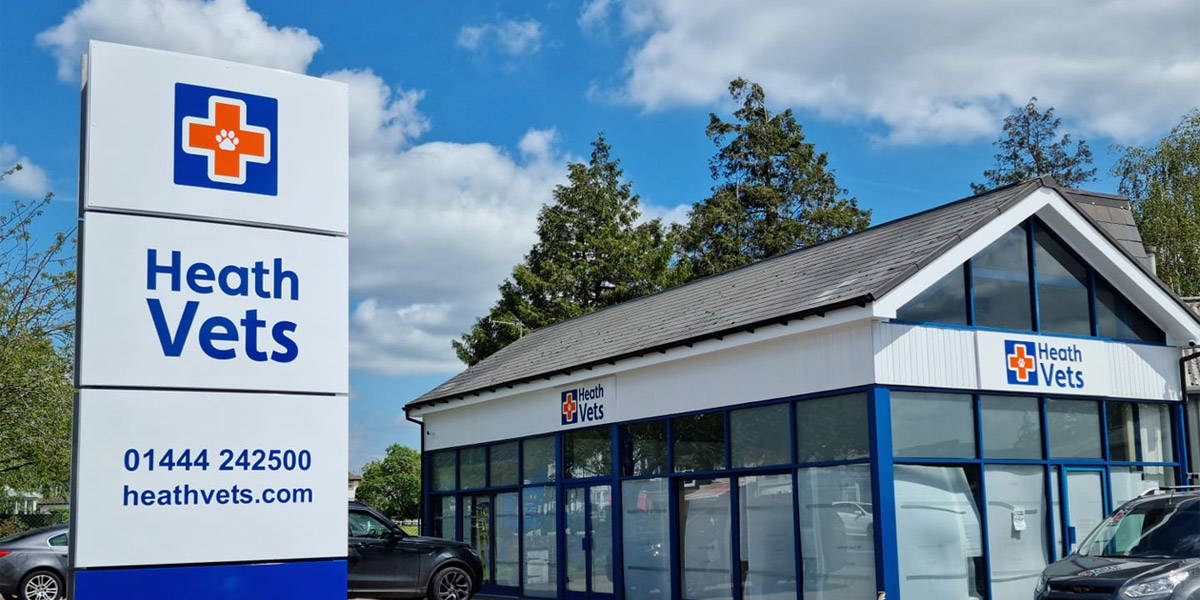 our-covid-protocols-keeping-everyone-safe-at-heath-vets