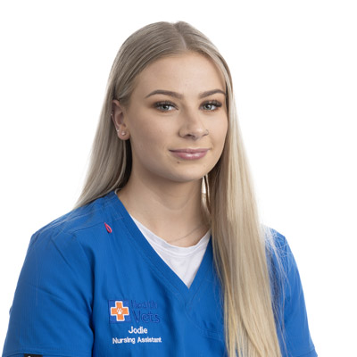 heath-vets-vet-in-burgess-hill-staff-team-member-Jodie-Lown