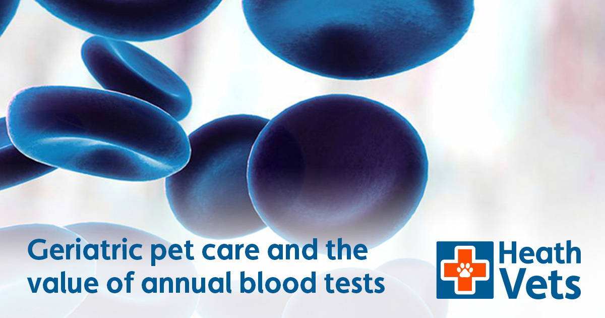 Geriatric Pet Care and the Value of Annual Blood Tests Heath Vets