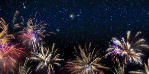 Pets and Fireworks | Top Tips To Help Pets Scared of Fireworks