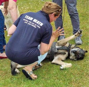 Join the Heath Vets team