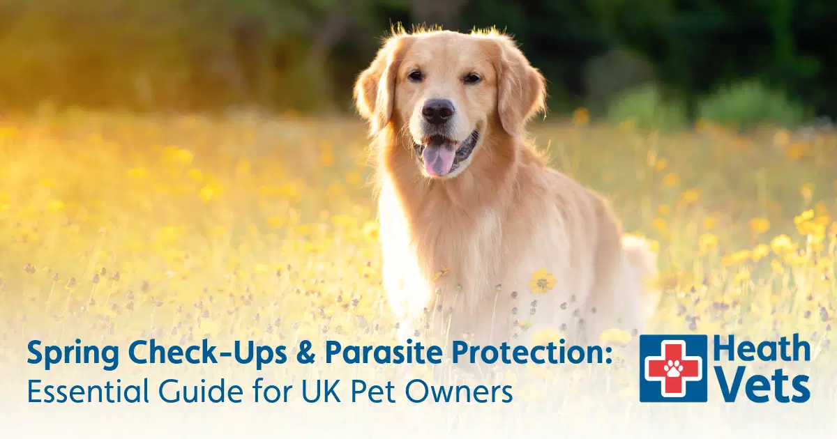 Spring Check-Ups & Parasite Protection | Heath Vets